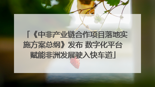 《中非产业链合作项目落地实施方案总纲》发布 数字化平台赋能非洲发展驶入快车道