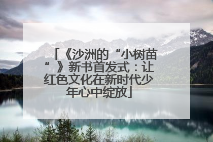 《沙洲的“小树苗”》新书首发式：让红色文化在新时代少年心中绽放