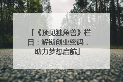 《预见独角兽》栏目：解锁创业密码，助力梦想启航