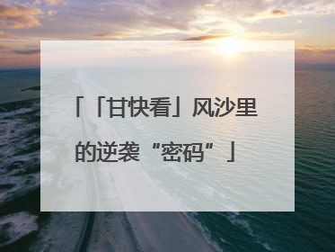 「甘快看」风沙里的逆袭“密码”