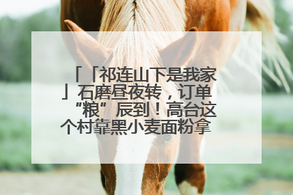 「祁连山下是我家」石磨昼夜转，订单“粮”辰到！高台这个村靠黑小麦面粉拿下成立来最大订单