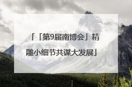「第9届南博会」精雕小细节共谋大发展