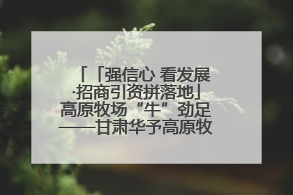 「强信心 看发展·招商引资拼落地」高原牧场“牛”劲足——甘肃华予高原牧场高标准奶牛肉牛养殖项目一线见闻