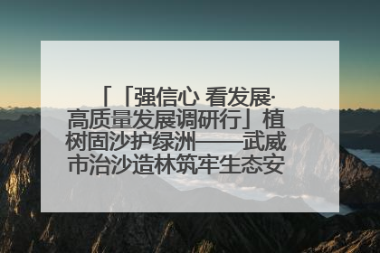 「强信心 看发展·高质量发展调研行」植树固沙护绿洲——武威市治沙造林筑牢生态安全屏障见闻