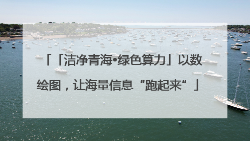 「洁净青海•绿色算力」以数绘图，让海量信息“跑起来”