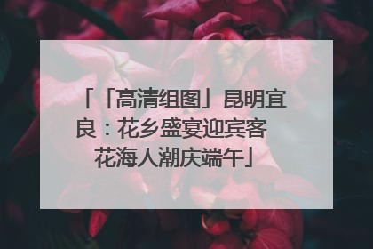 「高清组图」昆明宜良：花乡盛宴迎宾客 花海人潮庆端午