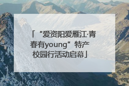 “爱资阳爱雁江·青春有young”特产校园行活动启幕