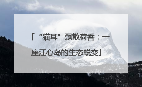 “猫耳”飘散荷香：一座江心岛的生态蜕变