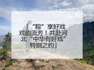 “粽”享好戏 戏韵流芳！共赴河北“中华有好戏”特别之约