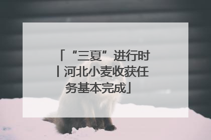 “三夏”进行时丨河北小麦收获任务基本完成