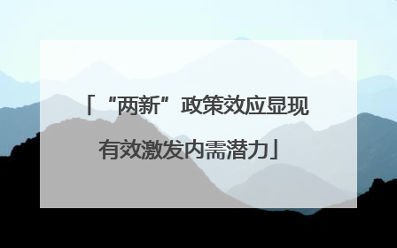 “两新”政策效应显现 有效激发内需潜力