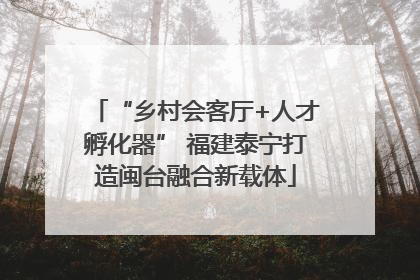 “乡村会客厅+人才孵化器” 福建泰宁打造闽台融合新载体