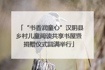 “书香润童心”汉阴县乡村儿童阅读共享书屋暨捐赠仪式圆满举行