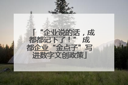 “企业说的话，成都都记下了！” 成都企业“金点子”写进数字文创政策