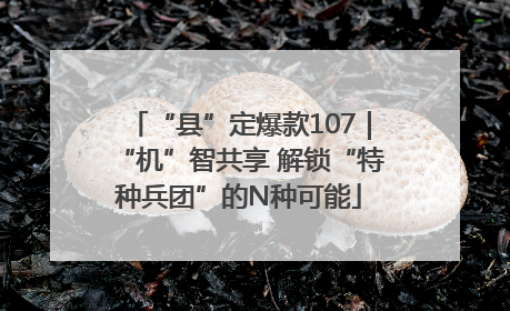 “县”定爆款107｜“机”智共享 解锁“特种兵团”的N种可能
