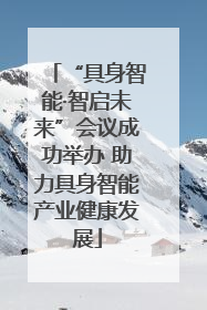 “具身智能·智启未来”会议成功举办 助力具身智能产业健康发展