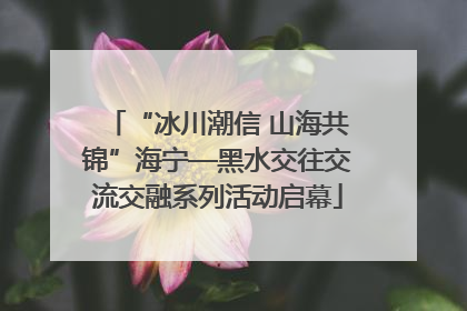 “冰川潮信 山海共锦”海宁—黑水交往交流交融系列活动启幕