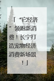 “它经济”领跑新消费！长宁打造宠物经济消费新场景！