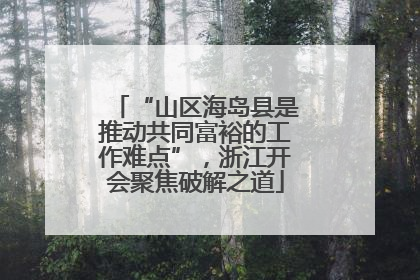 “山区海岛县是推动共同富裕的工作难点”，浙江开会聚焦破解之道
