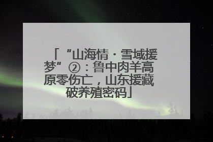 “山海情・雪域援梦”②：鲁中肉羊高原零伤亡，山东援藏破养殖密码