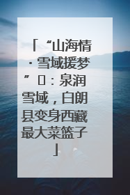 “山海情・雪域援梦”⑪：泉润雪域，白朗县变身西藏最大菜篮子