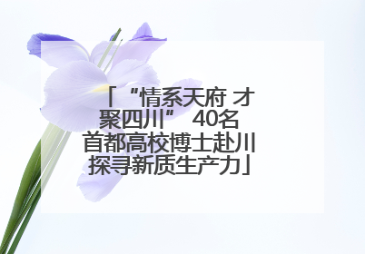 “情系天府 才聚四川” 40名首都高校博士赴川探寻新质生产力