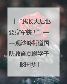 “我长大后也要穿军装！”——观沙岭街道国防教育点燃学子报国梦