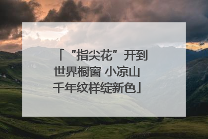 “指尖花”开到世界橱窗 小凉山千年纹样绽新色