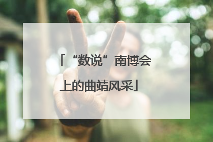 “数说”南博会上的曲靖风采