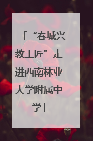 “春城兴教工匠”走进西南林业大学附属中学