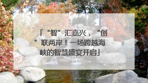 “智”汇嘉兴，“创”联两岸！一场跨越海峡的智慧盛宴开启