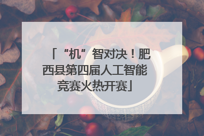 “机”智对决！肥西县第四届人工智能竞赛火热开赛