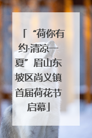 “荷你有约·清凉一夏”眉山东坡区尚义镇首届荷花节启幕