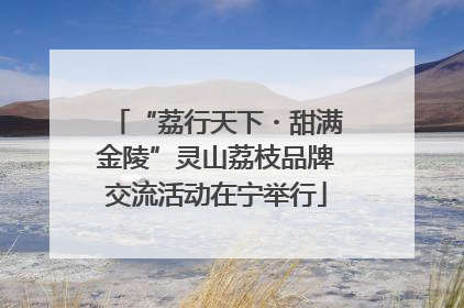 “荔行天下・甜满金陵”灵山荔枝品牌交流活动在宁举行