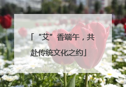 “艾”香端午，共赴传统文化之约