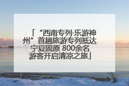 “西南专列·乐游神州”首趟旅游专列抵达宁夏固原 800余名游客开启清凉之旅