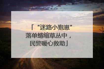 “迷路小狍崽”落单蜷缩草丛中，民警暖心救助