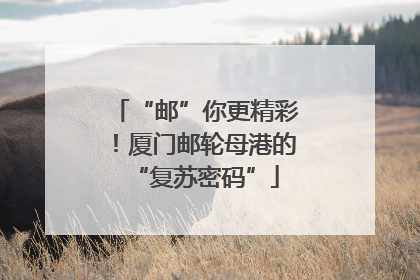 “邮”你更精彩！厦门邮轮母港的“复苏密码”