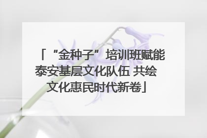 “金种子”培训班赋能泰安基层文化队伍 共绘文化惠民时代新卷