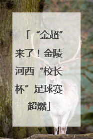 “金超”来了！金陵河西“校长杯”足球赛超燃