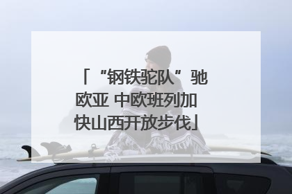 “钢铁驼队”驰欧亚 中欧班列加快山西开放步伐