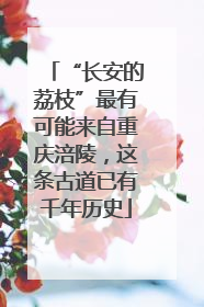 “长安的荔枝”最有可能来自重庆涪陵，这条古道已有千年历史