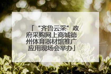 “齐鲁云采”政府采购网上商城德州体育器材馆推广应用现场会举办