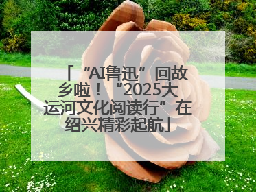 “AI鲁迅”回故乡啦！“2025大运河文化阅读行”在绍兴精彩起航