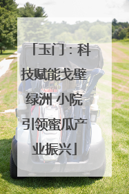 玉门：科技赋能戈壁绿洲 小院引领蜜瓜产业振兴