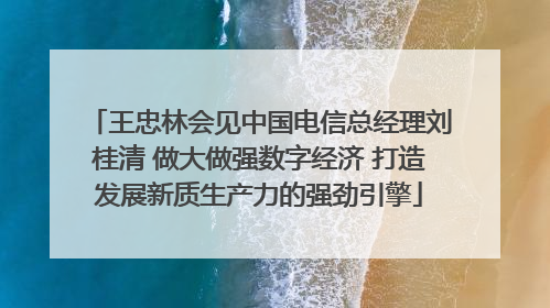 王忠林会见中国电信总经理刘桂清 做大做强数字经济 打造发展新质生产力的强劲引擎