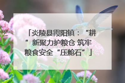 炎陵县霞阳镇：“耕”新聚力护粮仓 筑牢粮食安全“压舱石”