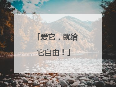 爱它，就给它自由！