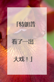 特朗普看了一出大戏！