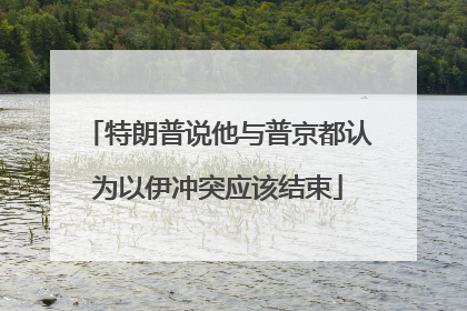 特朗普说他与普京都认为以伊冲突应该结束